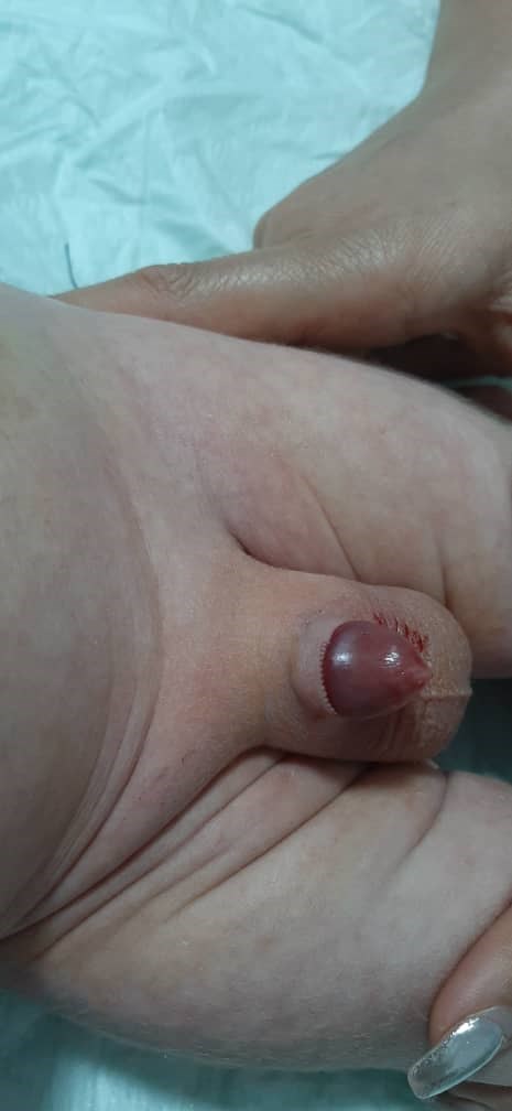 دکتریاب ایران